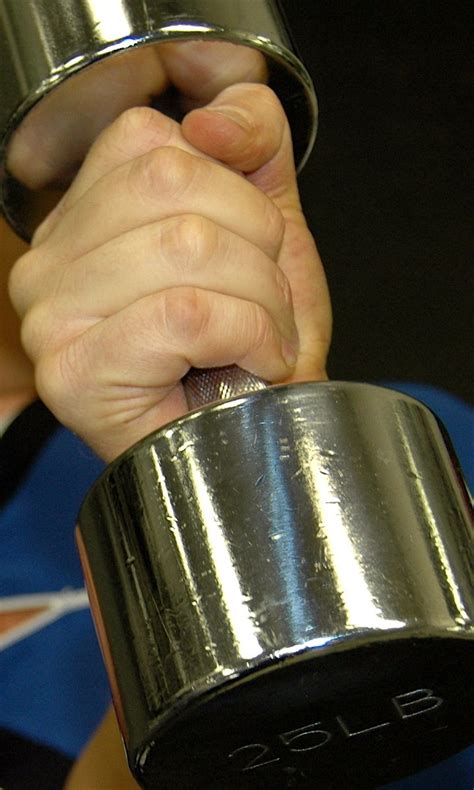 gym weights  photo  freeimages