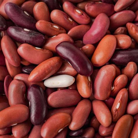 dau tay  thuc pham noom