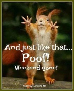101 Funny Weekend Memes to Celebrate the End of a Long Week at Work