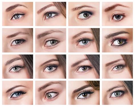 Eye lid types Stock Photos, Royalty Free Eye lid types Images ...