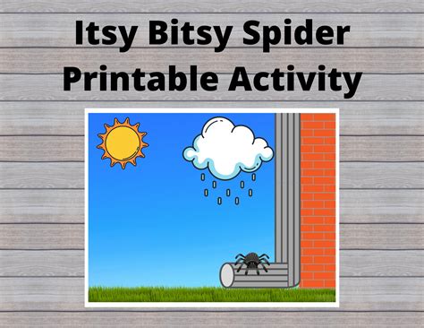 Itsy Bitsy Spider
