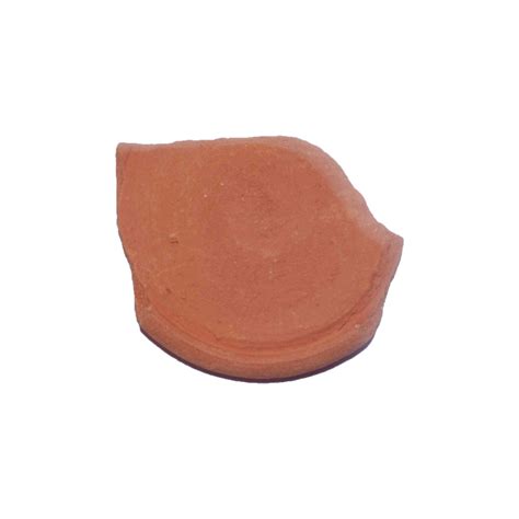 papitas museum  edible earth