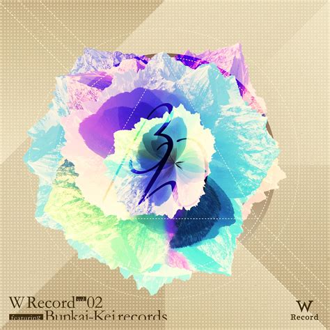 va vol feat bunkaikei records electronica