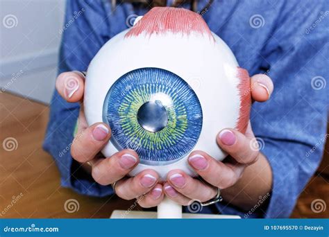 Ophthalmology Oculus Sample Closeup Stock Photo - Image of ...