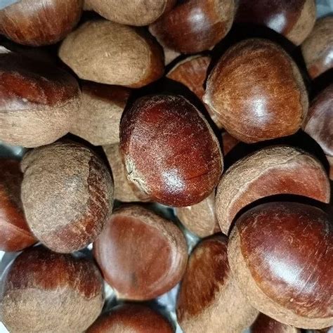 Chestnuts @ Buah Berangan (1kg) | Shopee Malaysia