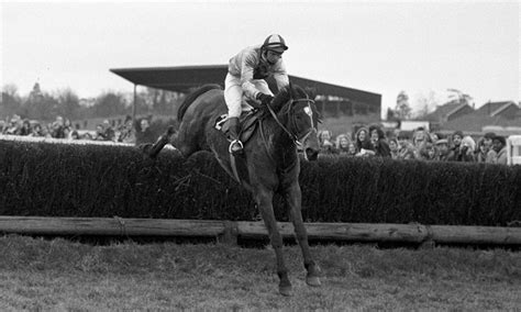 captain christy top horses career highlights timeform