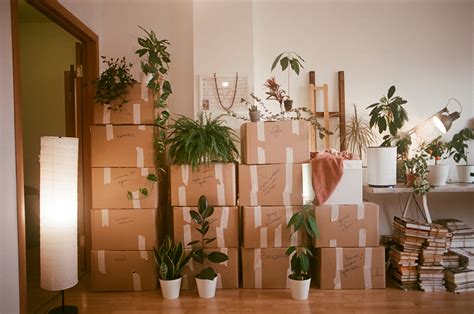 Moving out for the first time? Here are 5 key things every renter needs