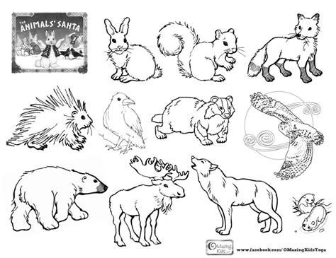 Tundra Animals Coloring Pages at GetColorings.com | Free printable colorings pages to print and ...