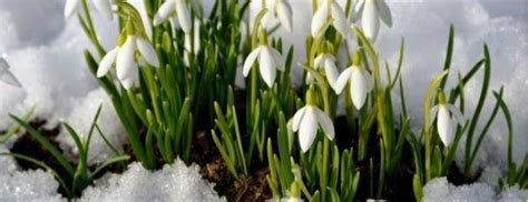 Сайт Львова 032.ua - головні новини і події міста