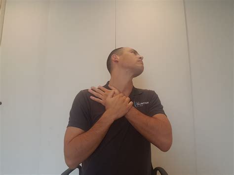 5 Neck Stretches For The Office Worker - Geelong Myotherapy