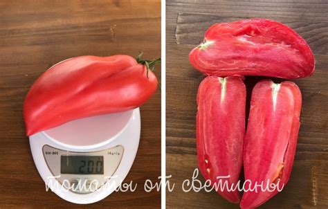 Сердце Марты - семена томатов