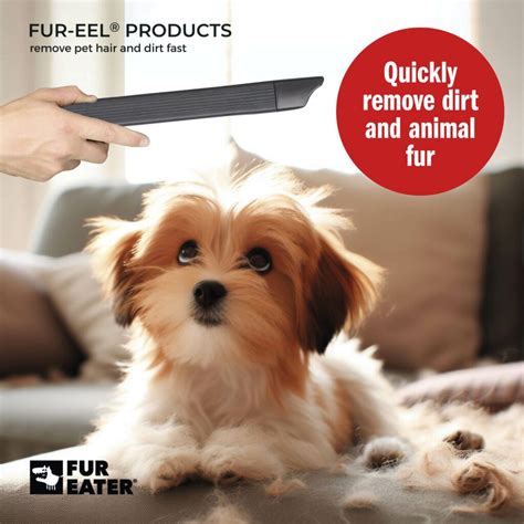 FurEater: The Ultimate Solution for Pet Hair Removal