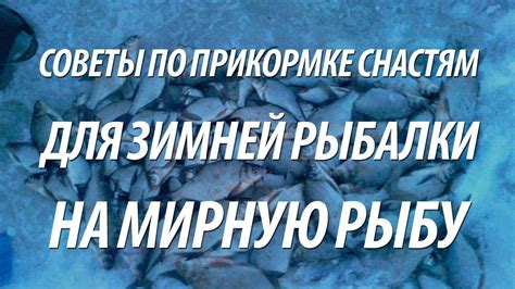 ЗИМНЯЯ РЫБАЛКА НА ПОДЛЕЩИКА И ПЛОТВУ - YouTube