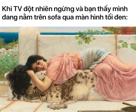 loat meme tranh  dien cho thay  mang   dem su hai huoc vao