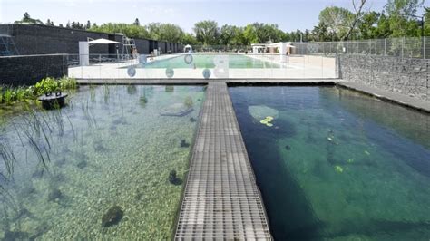 edmontons natural swimming pool honoured  innovation cbc news