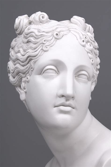 Venus Bust Sculpture - Goddess of Love (Large) Greek Goddess Statue