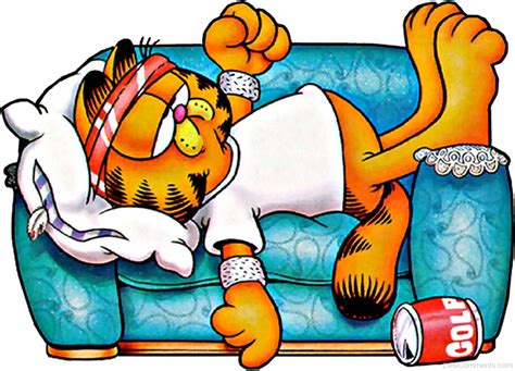 Garfield Sleeping On Sofa - Desi Comments