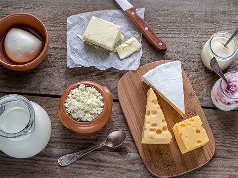 lactose dairy products