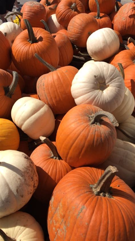 West Virginia Pumpkin Festival in Milton - Candace Lately