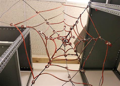 Latrodectus on Behance