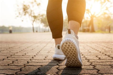 Walking is exercise, yes! Harvard indicates 12 benefits of walking ...