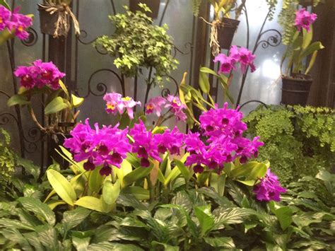 Pastor Bob Joyce (Official) | There is NOW an official Bob Joyce Music