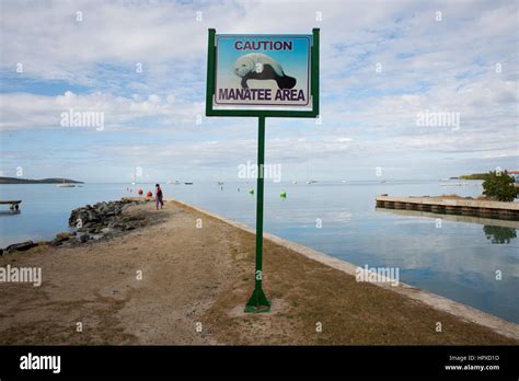 Manatee warning sign, beach, Boqueron, Puerto Rico Stock Photo - Alamy