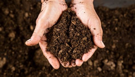 Composto Orgânico E Inorgânicos
