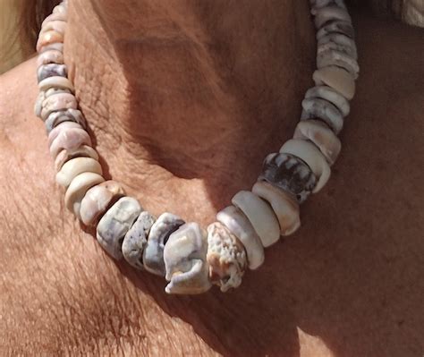 big puka shell necklace large puka shell necklace puka shell nt