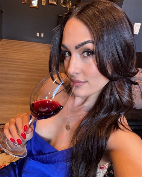 Hot Nikki Bella Photos - PWPIX.net