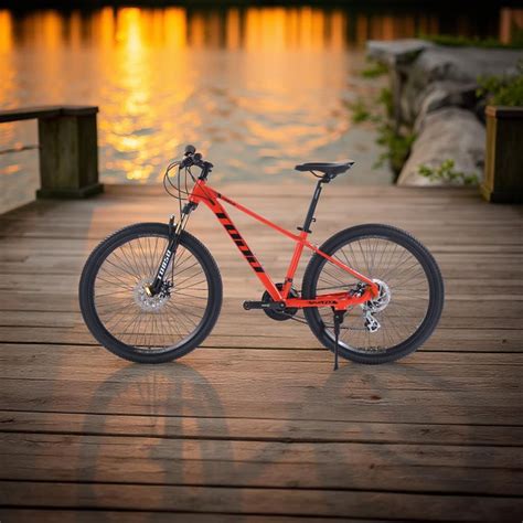 todd india attoddindia instagram