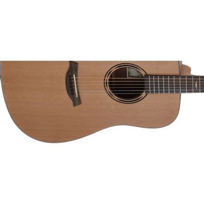 Baton Rouge AR11C D Westerngitarre | Musikhaus
