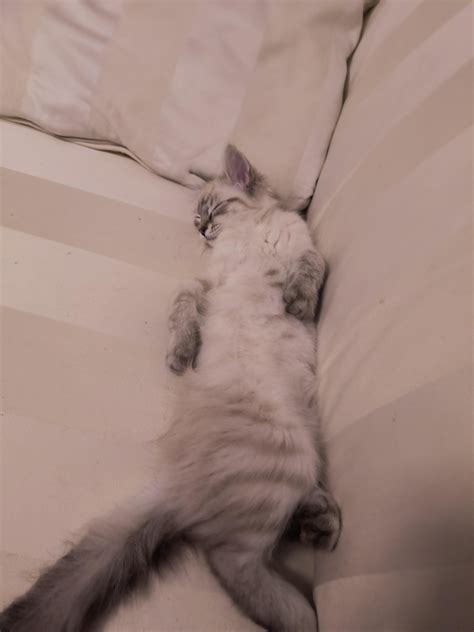 One of the overnight positions near me has a weird perk 21