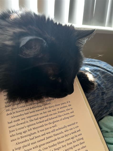 CHESHIRE PUBLIC LIBRARY on Tumblr