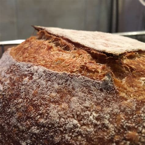 Pão De Casca Dura Também Usado Para Tomar Sopa - Pães semi-integrais – Casca Dura Pães Artesanais