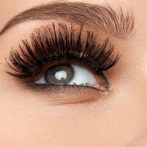lashapparels lash