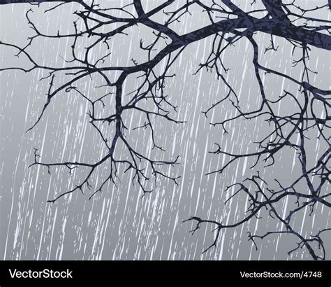 winter branches royalty  vector image vectorstock