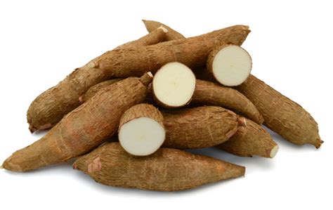 Mandioca É Um Legume - Mandioca: Características, Habitat, Usos, Cuidados, Espécies – JKAUL