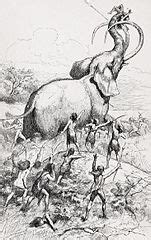 What is the Clovis Culture? - Significance, Timeline & Extinction ...