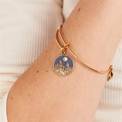 Harry Potter™ Hogwarts™ Castle Charm Bangle – ALEX AND ANI