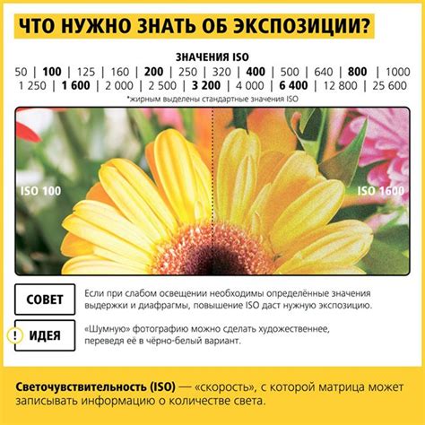 Советы начинающему фотографу