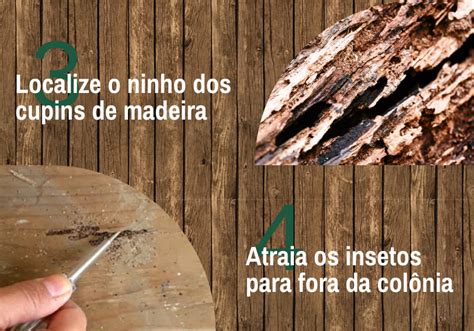 O Que Mata Cupim De Madeira