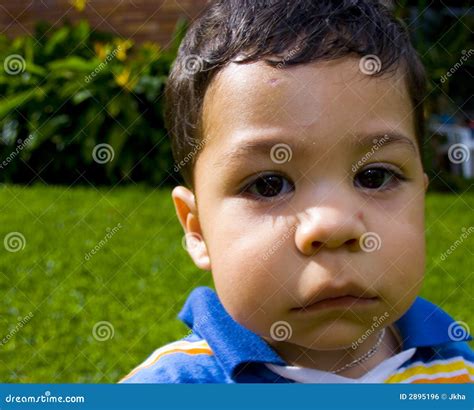 Little boy face stock photo. Image of adoring, cold, amazing - 2895196