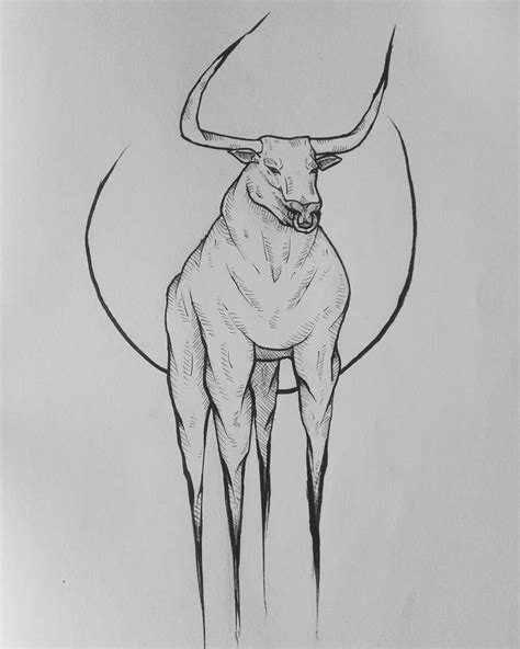 Bull Horns Drawing at PaintingValley.com | Explore collection of Bull Horns Drawing