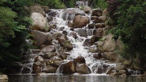 Kunchikal Falls | Kunchikal Falls Shimoga | Shimoga Waterfalls