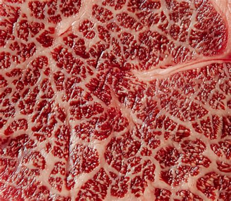 marketplace meatborsa