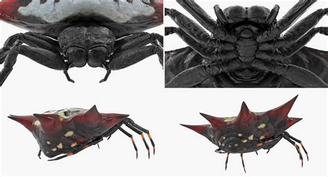 Insects Big 3D Models Collection 3Dモデル $699 - .3ds .c4d .fbx .ma .obj