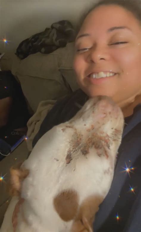 Discover what the Brandywine SPCA mission means for our local community 33