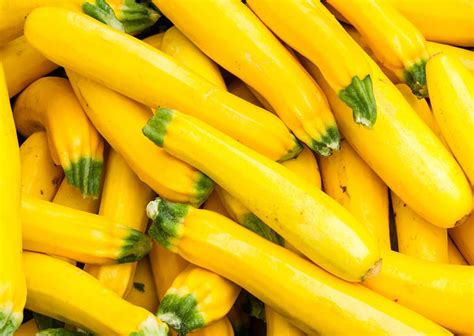 pictures  yellow squash varieties