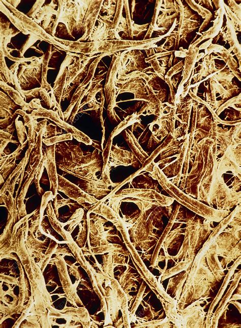 false colour sem  unused filter paper stock image